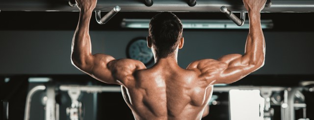 The Back And Its Exercise Routines